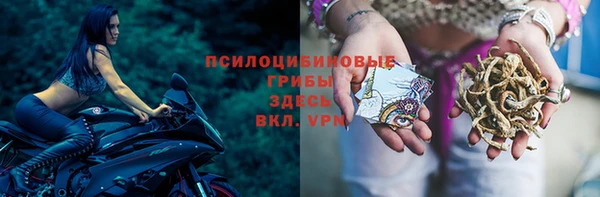 прущие крисы Алексин