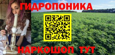 кокс Гудермес