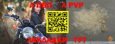 кокс Гудермес