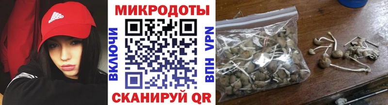 Псилоцибиновые грибы GOLDEN TEACHER  Белебей 