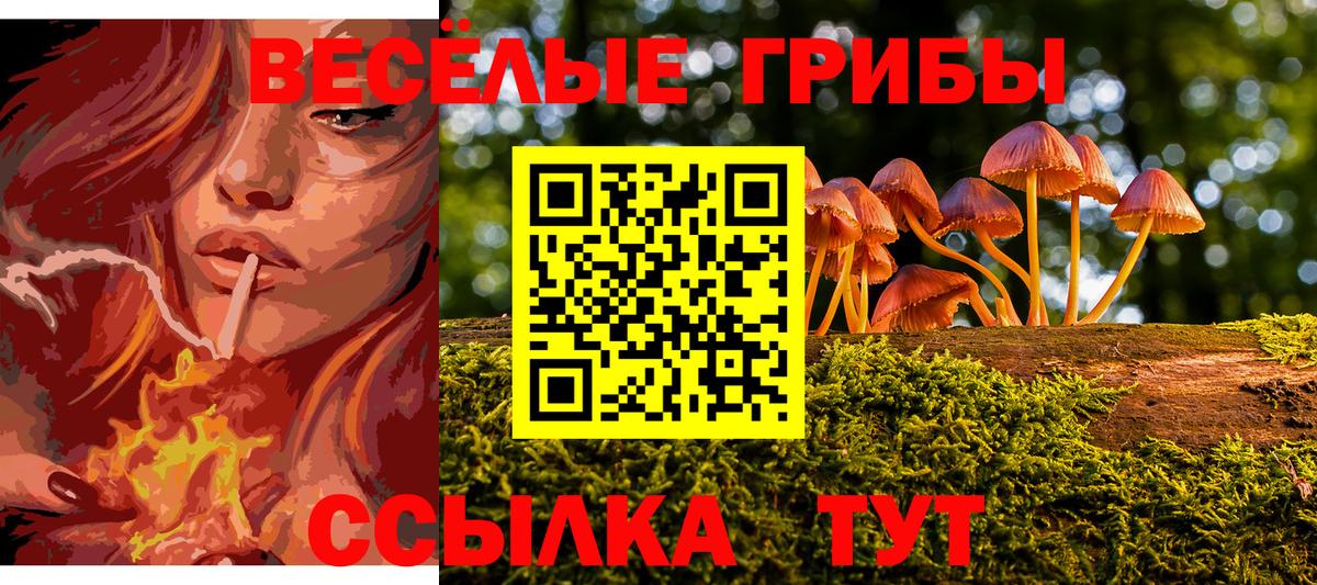 Белебей  Галлюциногенные грибы Psilocybe  где продают   Вход с VPN 